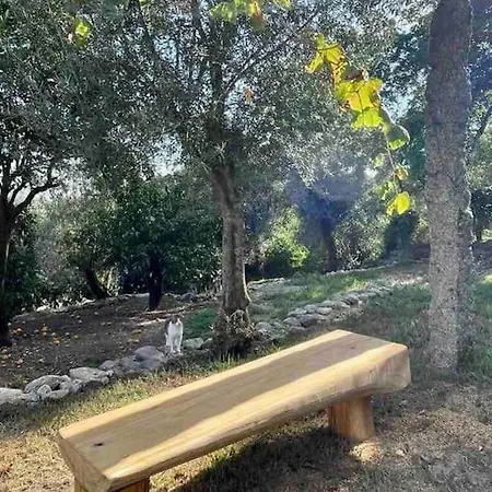 Quinta Do Arte - Quiet Hideaway Near Guimaraes * Sao Torcato (Braga)